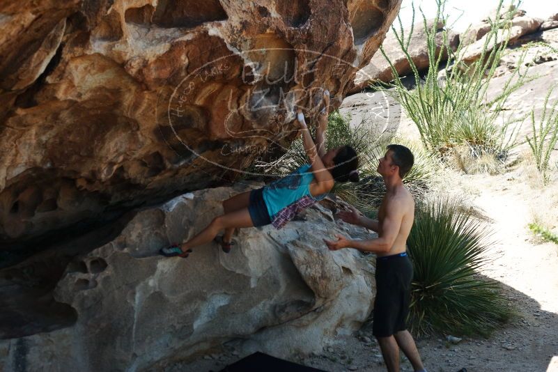 Bouldering in Hueco Tanks on 06/28/2019 with Blue Lizard Climbing and Yoga

Filename: SRM_20190628_1117270.jpg
Aperture: f/4.0
Shutter Speed: 1/400
Body: Canon EOS-1D Mark II
Lens: Canon EF 50mm f/1.8 II