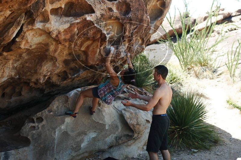 Bouldering in Hueco Tanks on 06/28/2019 with Blue Lizard Climbing and Yoga

Filename: SRM_20190628_1117360.jpg
Aperture: f/4.0
Shutter Speed: 1/320
Body: Canon EOS-1D Mark II
Lens: Canon EF 50mm f/1.8 II