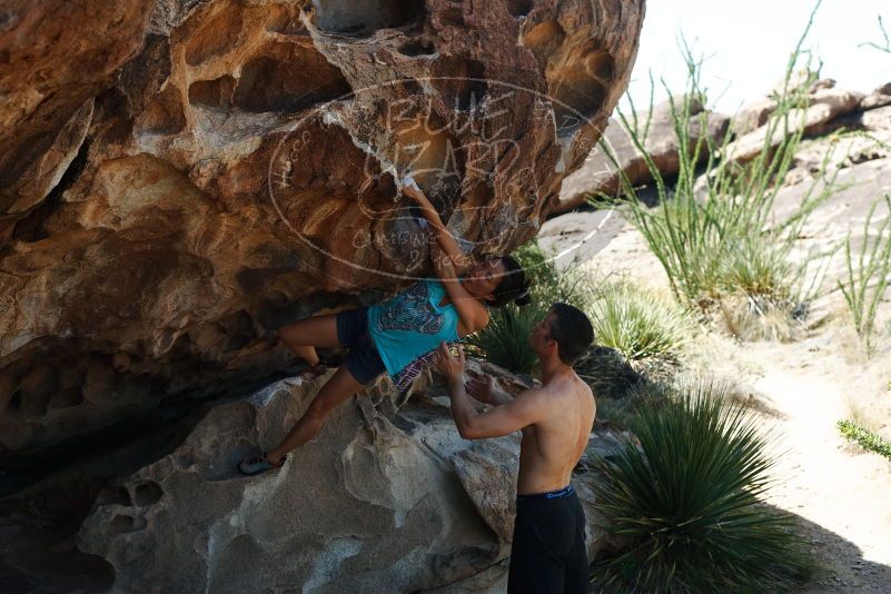 Bouldering in Hueco Tanks on 06/28/2019 with Blue Lizard Climbing and Yoga

Filename: SRM_20190628_1117420.jpg
Aperture: f/4.0
Shutter Speed: 1/500
Body: Canon EOS-1D Mark II
Lens: Canon EF 50mm f/1.8 II