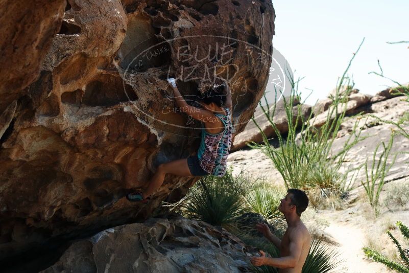 Bouldering in Hueco Tanks on 06/28/2019 with Blue Lizard Climbing and Yoga

Filename: SRM_20190628_1118030.jpg
Aperture: f/4.0
Shutter Speed: 1/640
Body: Canon EOS-1D Mark II
Lens: Canon EF 50mm f/1.8 II
