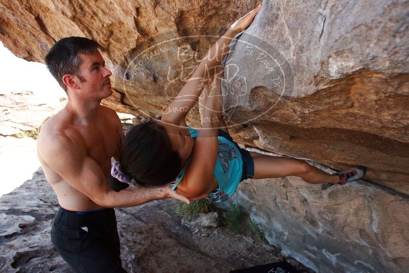 Bouldering in Hueco Tanks on 06/28/2019 with Blue Lizard Climbing and Yoga

Filename: SRM_20190628_1159500.jpg
Aperture: f/5.6
Shutter Speed: 1/320
Body: Canon EOS-1D Mark II
Lens: Canon EF 16-35mm f/2.8 L