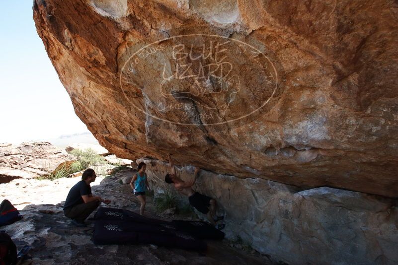 Bouldering in Hueco Tanks on 06/28/2019 with Blue Lizard Climbing and Yoga

Filename: SRM_20190628_1211490.jpg
Aperture: f/8.0
Shutter Speed: 1/400
Body: Canon EOS-1D Mark II
Lens: Canon EF 16-35mm f/2.8 L