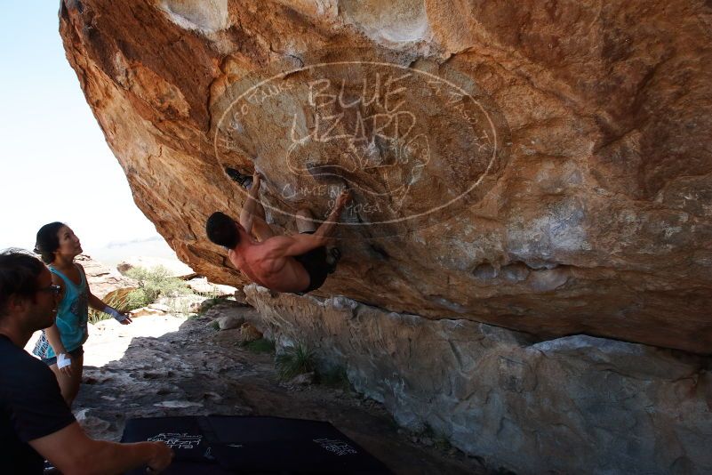 Bouldering in Hueco Tanks on 06/28/2019 with Blue Lizard Climbing and Yoga

Filename: SRM_20190628_1212540.jpg
Aperture: f/8.0
Shutter Speed: 1/400
Body: Canon EOS-1D Mark II
Lens: Canon EF 16-35mm f/2.8 L