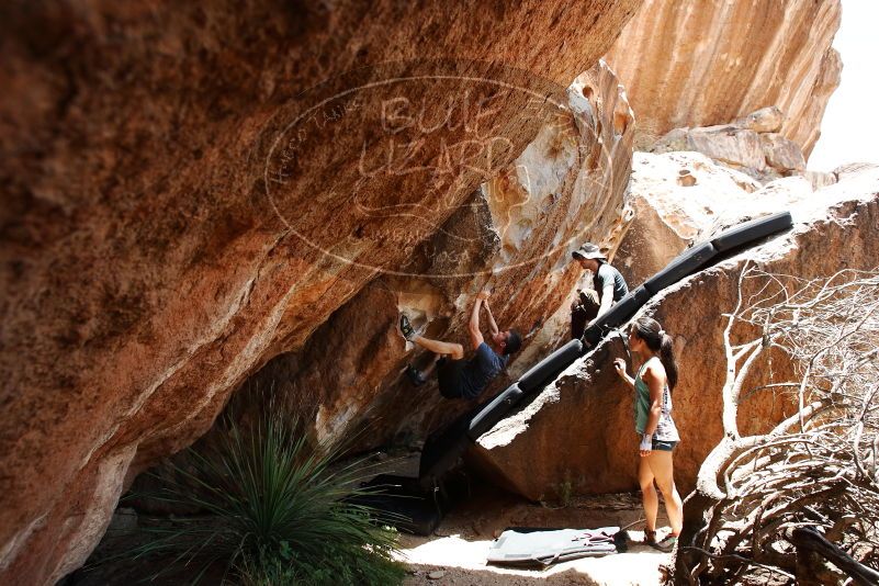 Bouldering in Hueco Tanks on 06/28/2019 with Blue Lizard Climbing and Yoga

Filename: SRM_20190628_1416150.jpg
Aperture: f/5.6
Shutter Speed: 1/320
Body: Canon EOS-1D Mark II
Lens: Canon EF 16-35mm f/2.8 L
