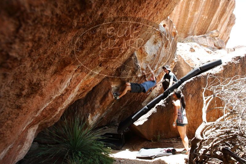 Bouldering in Hueco Tanks on 06/28/2019 with Blue Lizard Climbing and Yoga

Filename: SRM_20190628_1416320.jpg
Aperture: f/5.6
Shutter Speed: 1/320
Body: Canon EOS-1D Mark II
Lens: Canon EF 16-35mm f/2.8 L