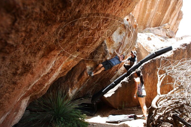 Bouldering in Hueco Tanks on 06/28/2019 with Blue Lizard Climbing and Yoga

Filename: SRM_20190628_1416360.jpg
Aperture: f/5.6
Shutter Speed: 1/320
Body: Canon EOS-1D Mark II
Lens: Canon EF 16-35mm f/2.8 L