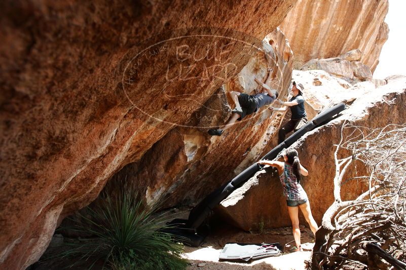 Bouldering in Hueco Tanks on 06/28/2019 with Blue Lizard Climbing and Yoga

Filename: SRM_20190628_1416530.jpg
Aperture: f/5.6
Shutter Speed: 1/320
Body: Canon EOS-1D Mark II
Lens: Canon EF 16-35mm f/2.8 L