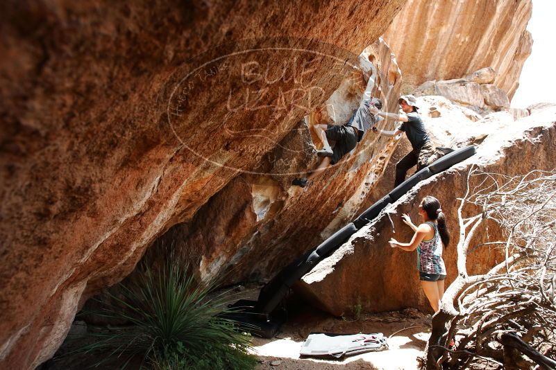 Bouldering in Hueco Tanks on 06/28/2019 with Blue Lizard Climbing and Yoga

Filename: SRM_20190628_1417051.jpg
Aperture: f/5.6
Shutter Speed: 1/320
Body: Canon EOS-1D Mark II
Lens: Canon EF 16-35mm f/2.8 L