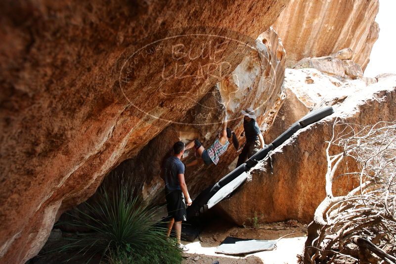 Bouldering in Hueco Tanks on 06/28/2019 with Blue Lizard Climbing and Yoga

Filename: SRM_20190628_1421430.jpg
Aperture: f/5.6
Shutter Speed: 1/320
Body: Canon EOS-1D Mark II
Lens: Canon EF 16-35mm f/2.8 L