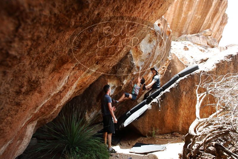Bouldering in Hueco Tanks on 06/28/2019 with Blue Lizard Climbing and Yoga

Filename: SRM_20190628_1422190.jpg
Aperture: f/5.6
Shutter Speed: 1/320
Body: Canon EOS-1D Mark II
Lens: Canon EF 16-35mm f/2.8 L