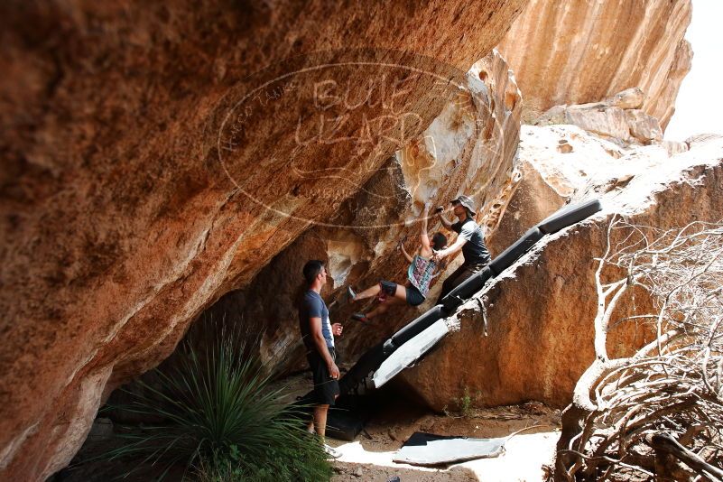 Bouldering in Hueco Tanks on 06/28/2019 with Blue Lizard Climbing and Yoga

Filename: SRM_20190628_1422470.jpg
Aperture: f/5.6
Shutter Speed: 1/320
Body: Canon EOS-1D Mark II
Lens: Canon EF 16-35mm f/2.8 L