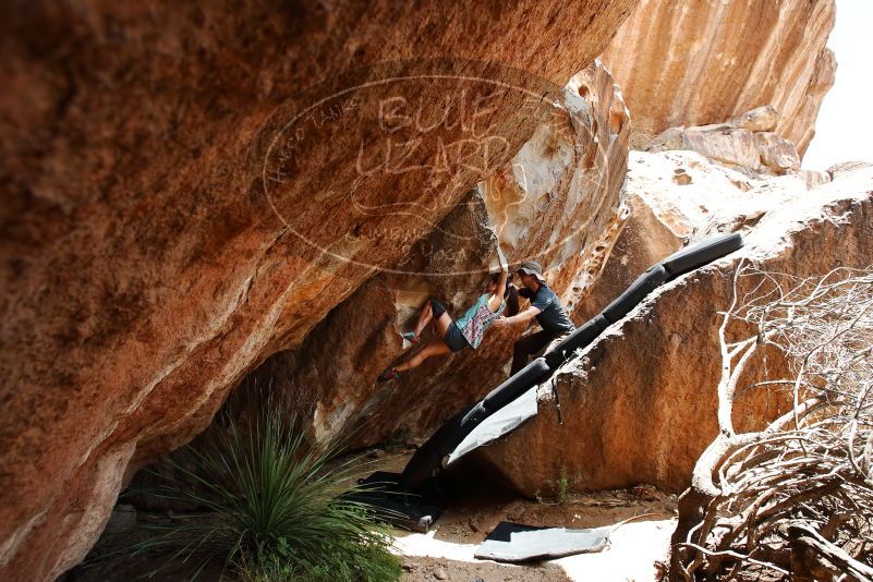 Bouldering in Hueco Tanks on 06/28/2019 with Blue Lizard Climbing and Yoga

Filename: SRM_20190628_1427421.jpg
Aperture: f/5.6
Shutter Speed: 1/320
Body: Canon EOS-1D Mark II
Lens: Canon EF 16-35mm f/2.8 L