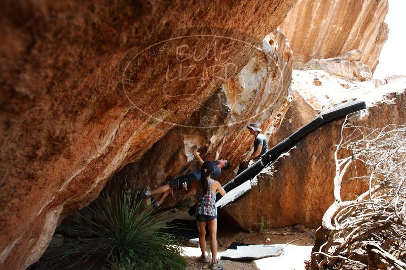 Bouldering in Hueco Tanks on 06/28/2019 with Blue Lizard Climbing and Yoga

Filename: SRM_20190628_1434510.jpg
Aperture: f/5.6
Shutter Speed: 1/320
Body: Canon EOS-1D Mark II
Lens: Canon EF 16-35mm f/2.8 L