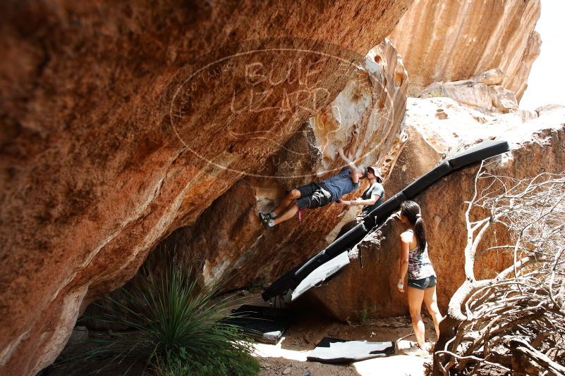 Bouldering in Hueco Tanks on 06/28/2019 with Blue Lizard Climbing and Yoga

Filename: SRM_20190628_1435190.jpg
Aperture: f/5.6
Shutter Speed: 1/320
Body: Canon EOS-1D Mark II
Lens: Canon EF 16-35mm f/2.8 L