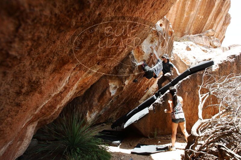 Bouldering in Hueco Tanks on 06/28/2019 with Blue Lizard Climbing and Yoga

Filename: SRM_20190628_1435400.jpg
Aperture: f/5.6
Shutter Speed: 1/400
Body: Canon EOS-1D Mark II
Lens: Canon EF 16-35mm f/2.8 L