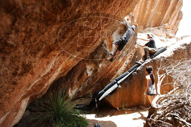 Bouldering in Hueco Tanks on 06/28/2019 with Blue Lizard Climbing and Yoga

Filename: SRM_20190628_1446320.jpg
Aperture: f/5.6
Shutter Speed: 1/400
Body: Canon EOS-1D Mark II
Lens: Canon EF 16-35mm f/2.8 L