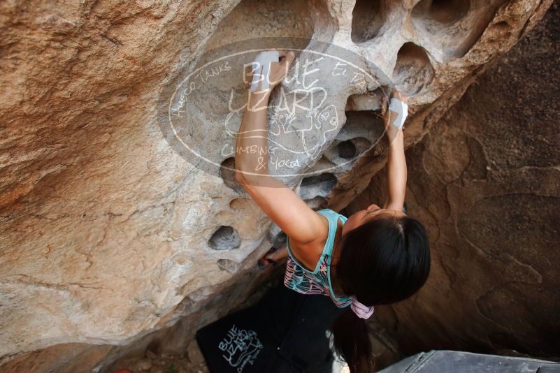 Bouldering in Hueco Tanks on 06/28/2019 with Blue Lizard Climbing and Yoga

Filename: SRM_20190628_1459530.jpg
Aperture: f/5.6
Shutter Speed: 1/320
Body: Canon EOS-1D Mark II
Lens: Canon EF 16-35mm f/2.8 L