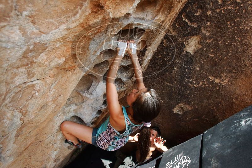 Bouldering in Hueco Tanks on 06/28/2019 with Blue Lizard Climbing and Yoga

Filename: SRM_20190628_1508371.jpg
Aperture: f/5.6
Shutter Speed: 1/500
Body: Canon EOS-1D Mark II
Lens: Canon EF 16-35mm f/2.8 L