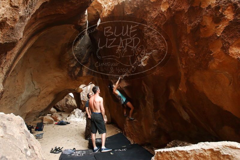 Bouldering in Hueco Tanks on 06/28/2019 with Blue Lizard Climbing and Yoga

Filename: SRM_20190628_1734510.jpg
Aperture: f/5.0
Shutter Speed: 1/160
Body: Canon EOS-1D Mark II
Lens: Canon EF 16-35mm f/2.8 L