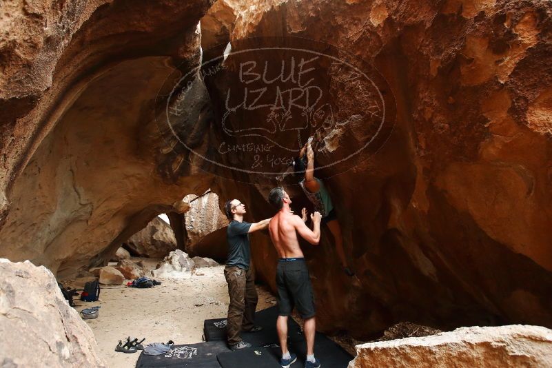 Bouldering in Hueco Tanks on 06/28/2019 with Blue Lizard Climbing and Yoga

Filename: SRM_20190628_1735280.jpg
Aperture: f/5.0
Shutter Speed: 1/160
Body: Canon EOS-1D Mark II
Lens: Canon EF 16-35mm f/2.8 L