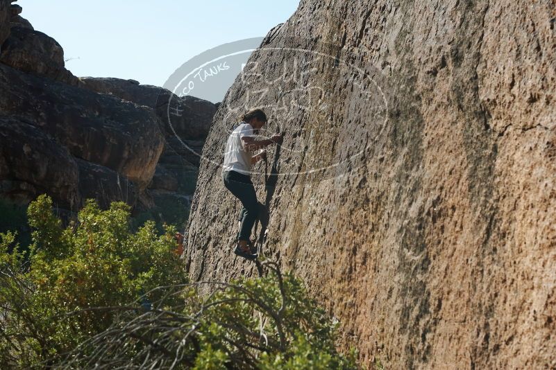 Bouldering in Hueco Tanks on 08/02/2019 with Blue Lizard Climbing and Yoga

Filename: SRM_20190802_1019000.jpg
Aperture: f/5.6
Shutter Speed: 1/400
Body: Canon EOS-1D Mark II
Lens: Canon EF 50mm f/1.8 II