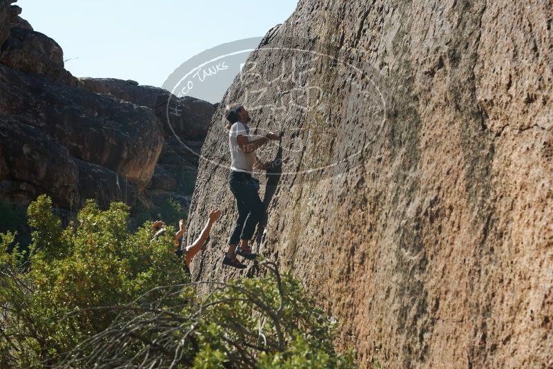 Bouldering in Hueco Tanks on 08/02/2019 with Blue Lizard Climbing and Yoga

Filename: SRM_20190802_1022450.jpg
Aperture: f/5.6
Shutter Speed: 1/400
Body: Canon EOS-1D Mark II
Lens: Canon EF 50mm f/1.8 II