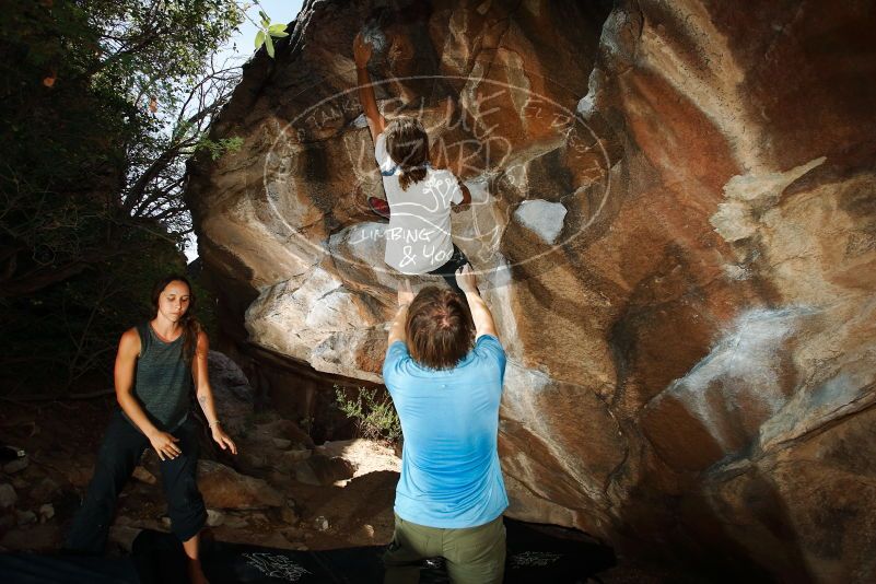 Bouldering in Hueco Tanks on 08/02/2019 with Blue Lizard Climbing and Yoga

Filename: SRM_20190802_1056010.jpg
Aperture: f/5.6
Shutter Speed: 1/250
Body: Canon EOS-1D Mark II
Lens: Canon EF 16-35mm f/2.8 L