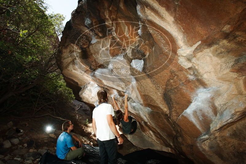 Bouldering in Hueco Tanks on 08/02/2019 with Blue Lizard Climbing and Yoga

Filename: SRM_20190802_1109010.jpg
Aperture: f/5.6
Shutter Speed: 1/250
Body: Canon EOS-1D Mark II
Lens: Canon EF 16-35mm f/2.8 L