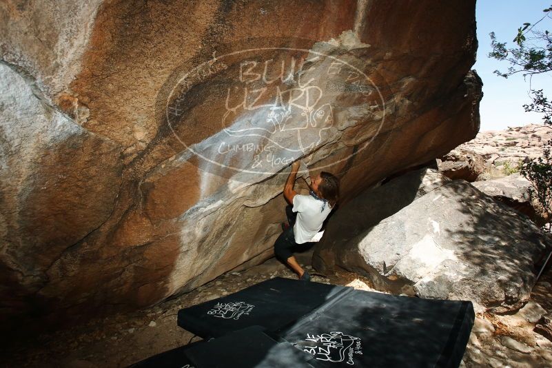 Bouldering in Hueco Tanks on 08/02/2019 with Blue Lizard Climbing and Yoga

Filename: SRM_20190802_1118210.jpg
Aperture: f/5.6
Shutter Speed: 1/250
Body: Canon EOS-1D Mark II
Lens: Canon EF 16-35mm f/2.8 L