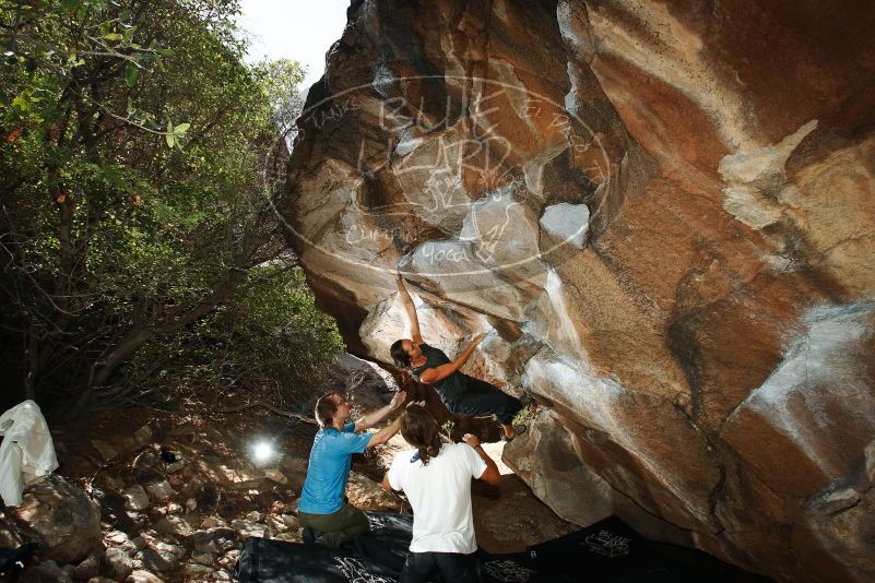 Bouldering in Hueco Tanks on 08/02/2019 with Blue Lizard Climbing and Yoga

Filename: SRM_20190802_1131090.jpg
Aperture: f/5.6
Shutter Speed: 1/250
Body: Canon EOS-1D Mark II
Lens: Canon EF 16-35mm f/2.8 L