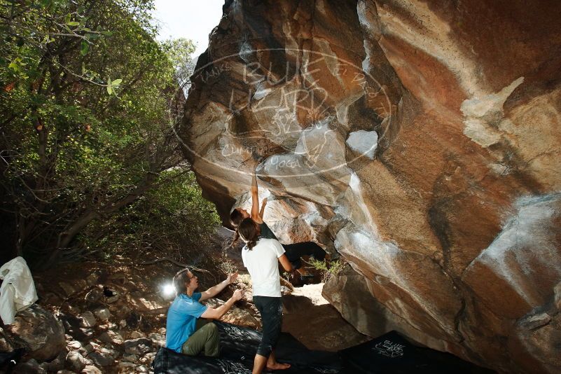 Bouldering in Hueco Tanks on 08/02/2019 with Blue Lizard Climbing and Yoga

Filename: SRM_20190802_1133140.jpg
Aperture: f/5.6
Shutter Speed: 1/250
Body: Canon EOS-1D Mark II
Lens: Canon EF 16-35mm f/2.8 L