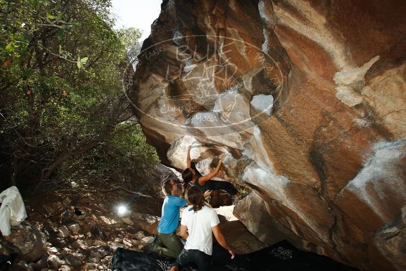 Bouldering in Hueco Tanks on 08/02/2019 with Blue Lizard Climbing and Yoga

Filename: SRM_20190802_1136120.jpg
Aperture: f/5.6
Shutter Speed: 1/250
Body: Canon EOS-1D Mark II
Lens: Canon EF 16-35mm f/2.8 L