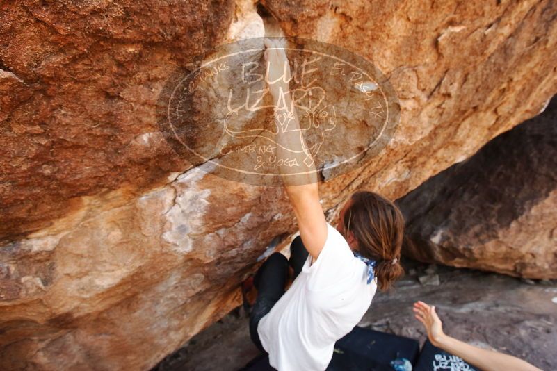 Bouldering in Hueco Tanks on 08/02/2019 with Blue Lizard Climbing and Yoga

Filename: SRM_20190802_1203170.jpg
Aperture: f/5.6
Shutter Speed: 1/250
Body: Canon EOS-1D Mark II
Lens: Canon EF 16-35mm f/2.8 L