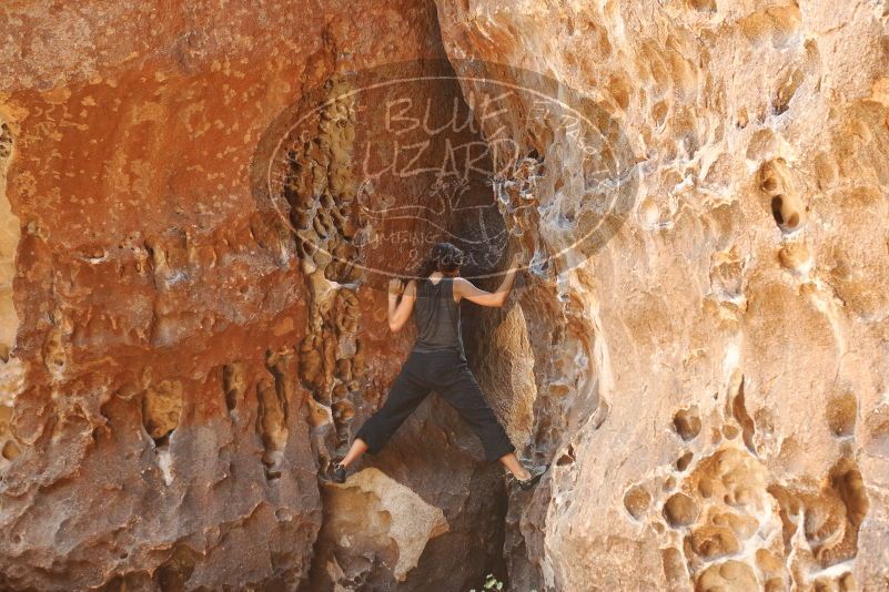 Bouldering in Hueco Tanks on 08/02/2019 with Blue Lizard Climbing and Yoga

Filename: SRM_20190802_1317130.jpg
Aperture: f/4.0
Shutter Speed: 1/125
Body: Canon EOS-1D Mark II
Lens: Canon EF 50mm f/1.8 II