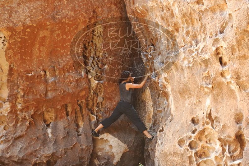 Bouldering in Hueco Tanks on 08/02/2019 with Blue Lizard Climbing and Yoga

Filename: SRM_20190802_1317131.jpg
Aperture: f/4.0
Shutter Speed: 1/125
Body: Canon EOS-1D Mark II
Lens: Canon EF 50mm f/1.8 II