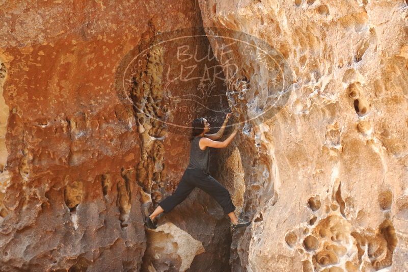 Bouldering in Hueco Tanks on 08/02/2019 with Blue Lizard Climbing and Yoga

Filename: SRM_20190802_1317140.jpg
Aperture: f/4.0
Shutter Speed: 1/125
Body: Canon EOS-1D Mark II
Lens: Canon EF 50mm f/1.8 II
