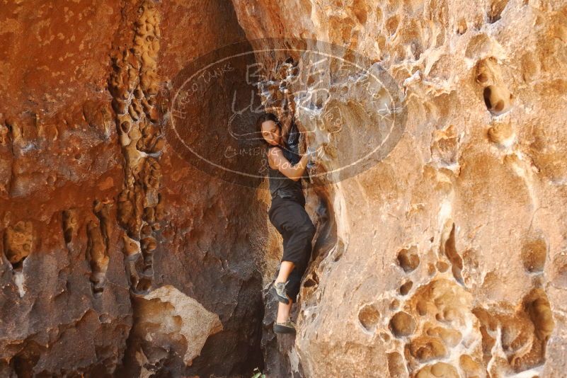 Bouldering in Hueco Tanks on 08/02/2019 with Blue Lizard Climbing and Yoga

Filename: SRM_20190802_1317350.jpg
Aperture: f/4.0
Shutter Speed: 1/160
Body: Canon EOS-1D Mark II
Lens: Canon EF 50mm f/1.8 II