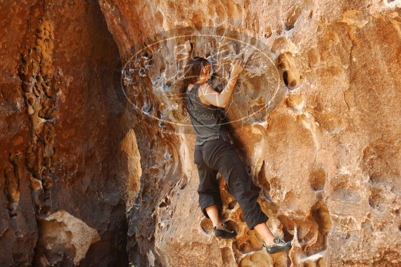 Bouldering in Hueco Tanks on 08/02/2019 with Blue Lizard Climbing and Yoga

Filename: SRM_20190802_1317570.jpg
Aperture: f/4.0
Shutter Speed: 1/160
Body: Canon EOS-1D Mark II
Lens: Canon EF 50mm f/1.8 II
