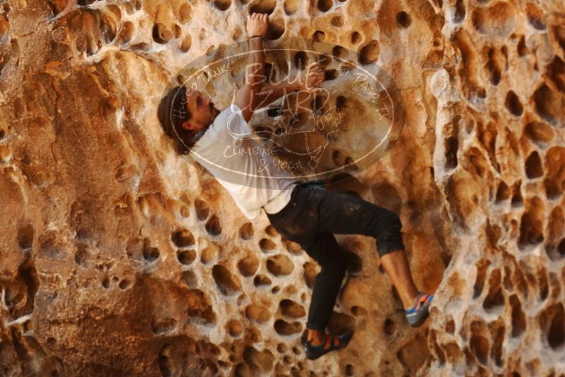 Bouldering in Hueco Tanks on 08/02/2019 with Blue Lizard Climbing and Yoga

Filename: SRM_20190802_1319460.jpg
Aperture: f/4.0
Shutter Speed: 1/200
Body: Canon EOS-1D Mark II
Lens: Canon EF 50mm f/1.8 II