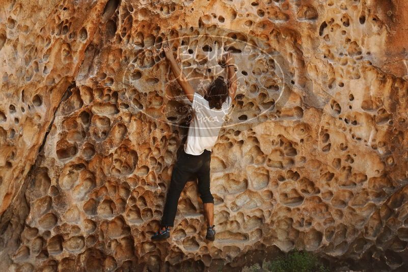 Bouldering in Hueco Tanks on 08/02/2019 with Blue Lizard Climbing and Yoga

Filename: SRM_20190802_1320060.jpg
Aperture: f/4.0
Shutter Speed: 1/320
Body: Canon EOS-1D Mark II
Lens: Canon EF 50mm f/1.8 II