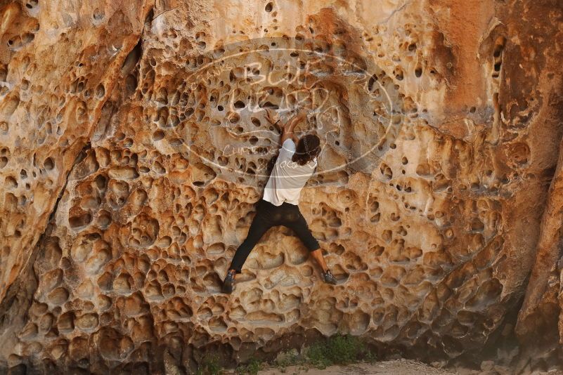 Bouldering in Hueco Tanks on 08/02/2019 with Blue Lizard Climbing and Yoga

Filename: SRM_20190802_1320120.jpg
Aperture: f/4.0
Shutter Speed: 1/250
Body: Canon EOS-1D Mark II
Lens: Canon EF 50mm f/1.8 II