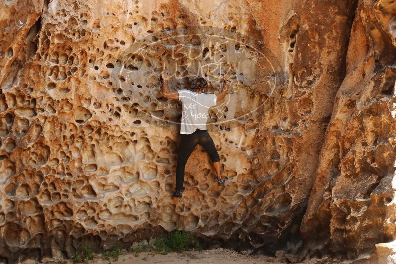 Bouldering in Hueco Tanks on 08/02/2019 with Blue Lizard Climbing and Yoga

Filename: SRM_20190802_1320200.jpg
Aperture: f/4.0
Shutter Speed: 1/250
Body: Canon EOS-1D Mark II
Lens: Canon EF 50mm f/1.8 II