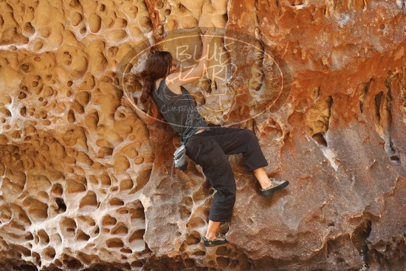 Bouldering in Hueco Tanks on 08/02/2019 with Blue Lizard Climbing and Yoga

Filename: SRM_20190802_1321260.jpg
Aperture: f/4.0
Shutter Speed: 1/100
Body: Canon EOS-1D Mark II
Lens: Canon EF 50mm f/1.8 II