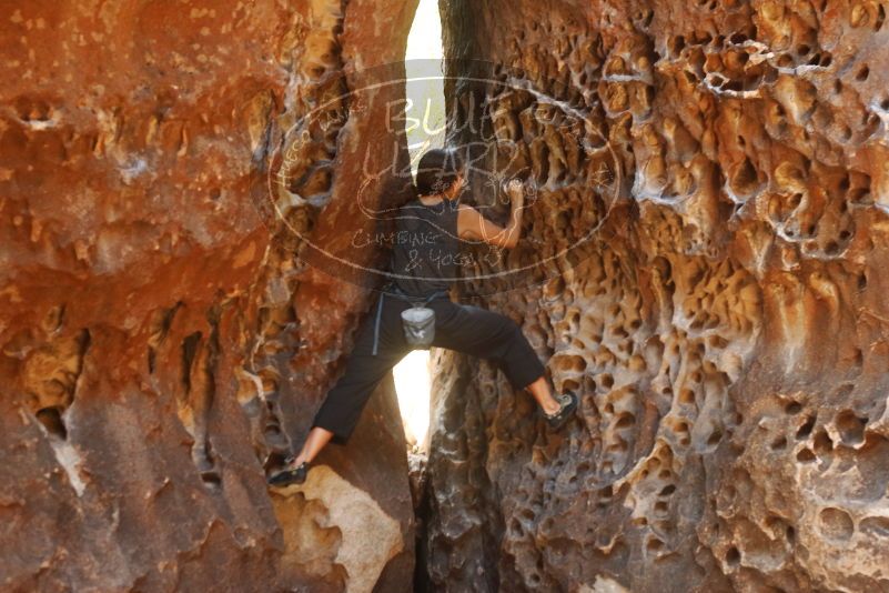 Bouldering in Hueco Tanks on 08/02/2019 with Blue Lizard Climbing and Yoga

Filename: SRM_20190802_1321440.jpg
Aperture: f/4.0
Shutter Speed: 1/80
Body: Canon EOS-1D Mark II
Lens: Canon EF 50mm f/1.8 II