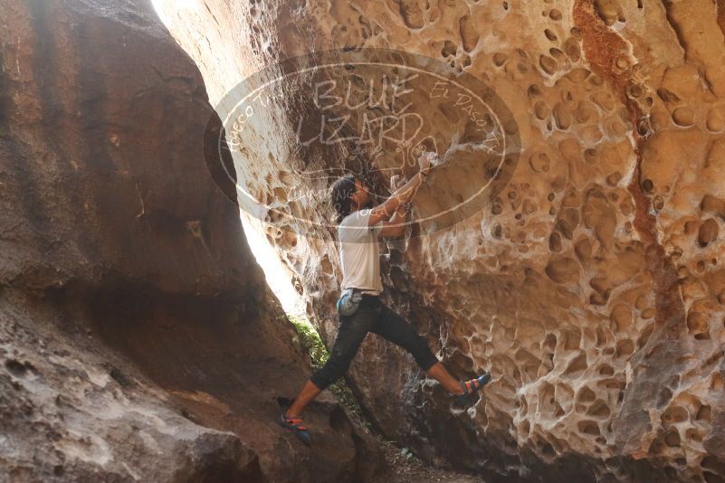 Bouldering in Hueco Tanks on 08/02/2019 with Blue Lizard Climbing and Yoga

Filename: SRM_20190802_1323470.jpg
Aperture: f/4.0
Shutter Speed: 1/125
Body: Canon EOS-1D Mark II
Lens: Canon EF 50mm f/1.8 II