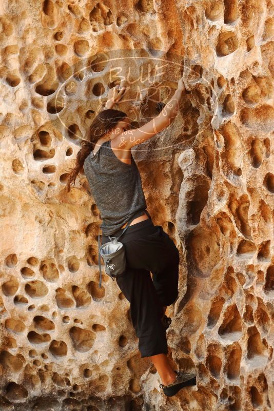 Bouldering in Hueco Tanks on 08/02/2019 with Blue Lizard Climbing and Yoga

Filename: SRM_20190802_1326180.jpg
Aperture: f/4.0
Shutter Speed: 1/160
Body: Canon EOS-1D Mark II
Lens: Canon EF 50mm f/1.8 II