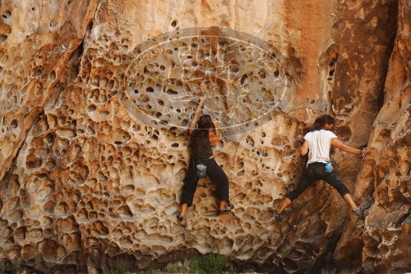 Bouldering in Hueco Tanks on 08/02/2019 with Blue Lizard Climbing and Yoga

Filename: SRM_20190802_1326410.jpg
Aperture: f/4.0
Shutter Speed: 1/320
Body: Canon EOS-1D Mark II
Lens: Canon EF 50mm f/1.8 II