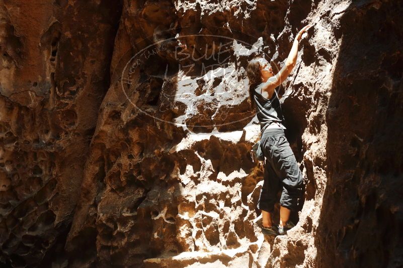 Bouldering in Hueco Tanks on 08/02/2019 with Blue Lizard Climbing and Yoga

Filename: SRM_20190802_1328220.jpg
Aperture: f/4.0
Shutter Speed: 1/1000
Body: Canon EOS-1D Mark II
Lens: Canon EF 50mm f/1.8 II