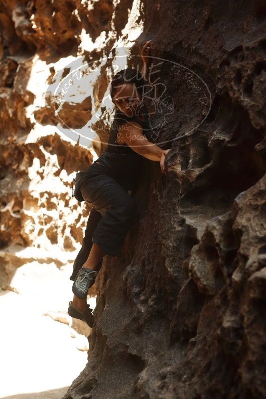 Bouldering in Hueco Tanks on 08/02/2019 with Blue Lizard Climbing and Yoga

Filename: SRM_20190802_1329080.jpg
Aperture: f/4.0
Shutter Speed: 1/500
Body: Canon EOS-1D Mark II
Lens: Canon EF 50mm f/1.8 II