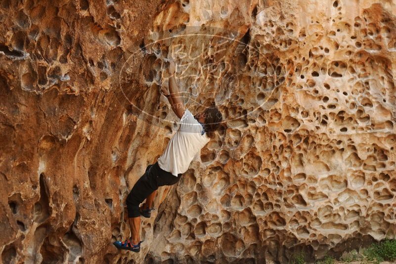Bouldering in Hueco Tanks on 08/02/2019 with Blue Lizard Climbing and Yoga

Filename: SRM_20190802_1330260.jpg
Aperture: f/4.0
Shutter Speed: 1/320
Body: Canon EOS-1D Mark II
Lens: Canon EF 50mm f/1.8 II